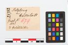 Etikett zu Goldfragment (NHMW-PRAE-025752)